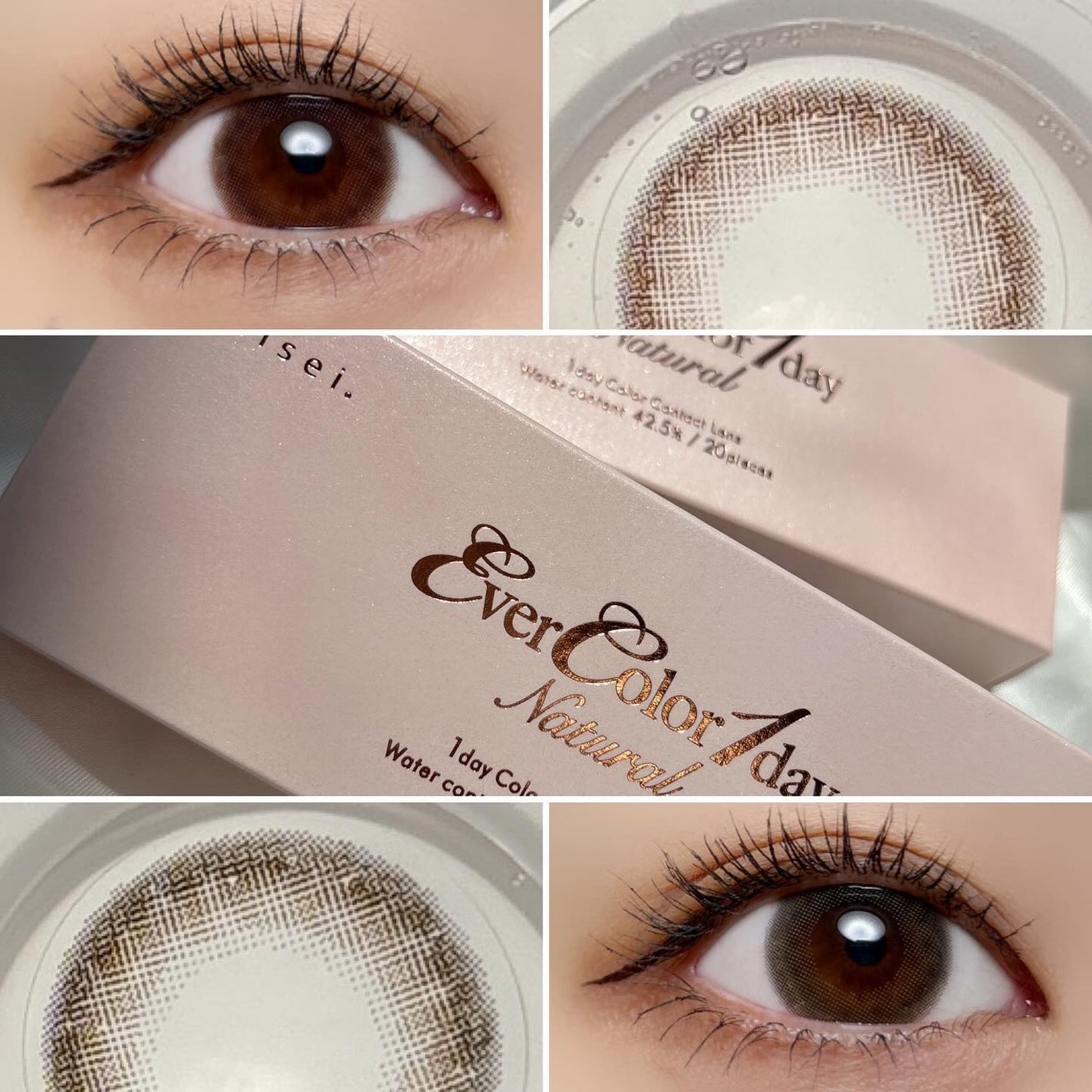 エバーカラーワンデー ナチュラル/エバーカラー/ワンデー(1DAY)カラコンを使ったクチコミ(1枚目)