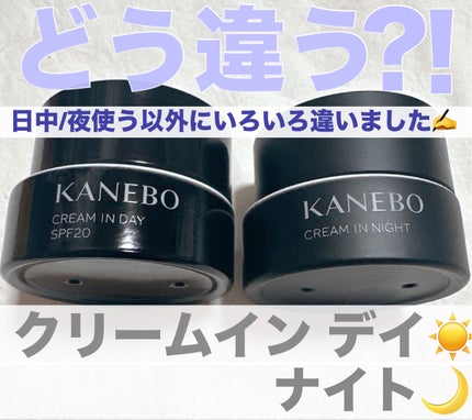 クリーム イン デイ/KANEBO/フェイスクリームを使ったクチコミ(1枚目)
