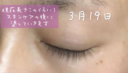 EMAKED(エマーキット)/水橋保寿堂製薬/まつげ美容液を使ったクチコミ(3枚目)