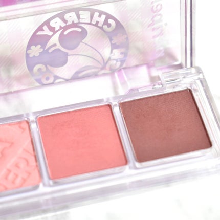 オール テイク ムード パレット(24AD)/PERIPERA/アイシャドウパレットを使ったクチコミ(5枚目)