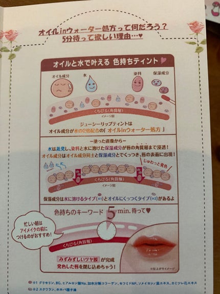 ジューシーリップティント/キャンメイク/口紅を使ったクチコミ(7枚目)