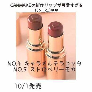 ✓ CANMAKE新作メルティールミナスルージュ
    10/1に発売！！！

今流行りのテラコッタカラーと赤みの強いブラウンレッドですごいかわいいとおもいました(｡>﹏<｡)

発売されたらすぐに買