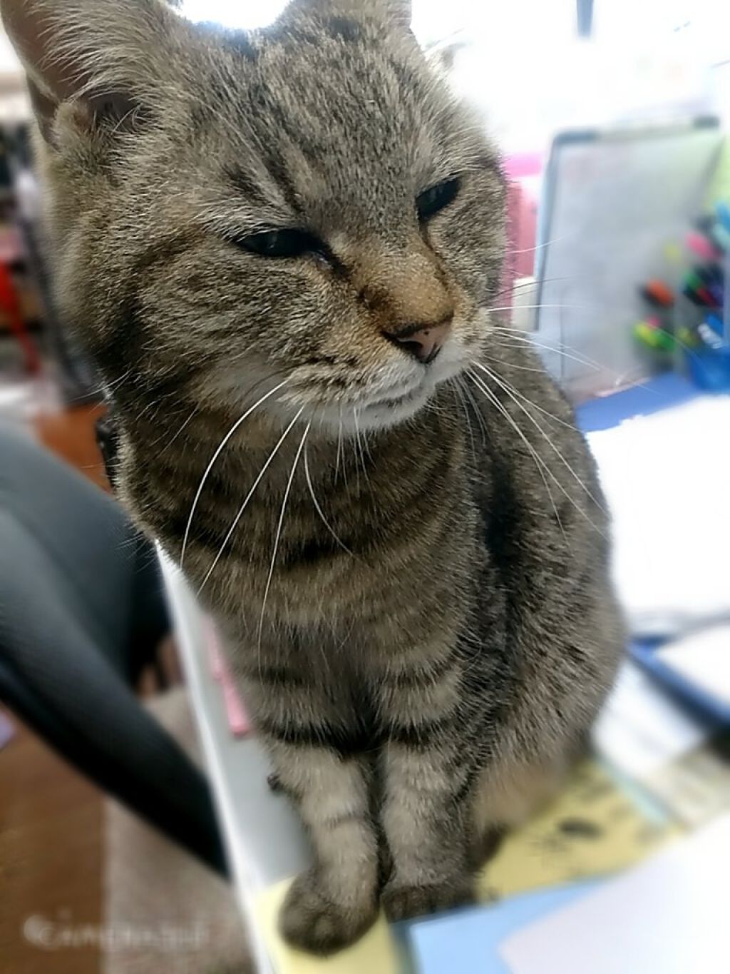 りんごのお酢/伊藤園/りんご酢を使ったクチコミ（3枚目）