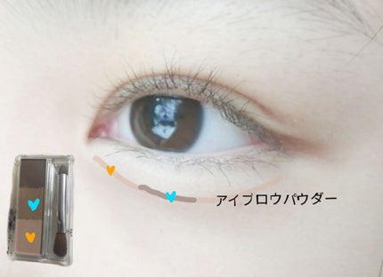 ミックスアイブロウ/キャンメイク/パウダーアイブロウを使ったクチコミ(3枚目)