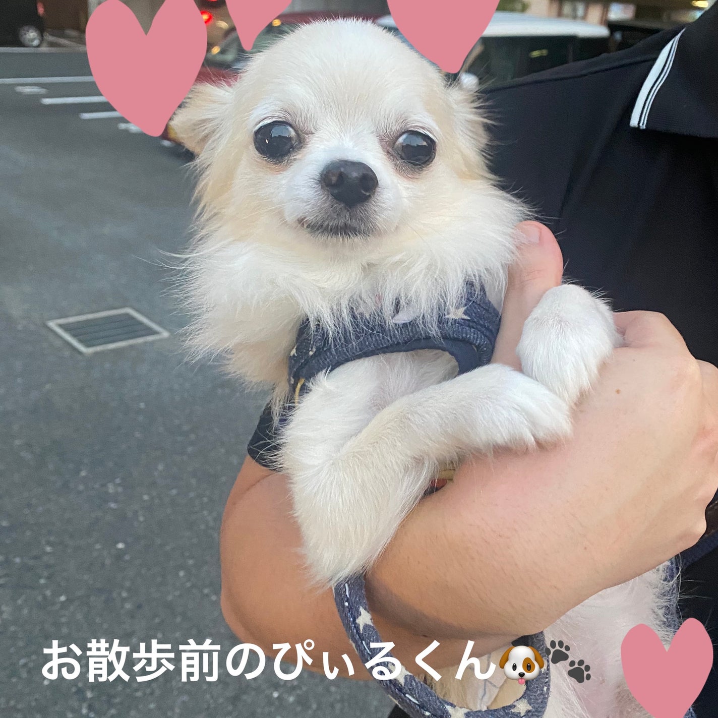 ライトリフレクティング プリズマティックパウダー/NARS/プレストパウダーを使ったクチコミ(4枚目)