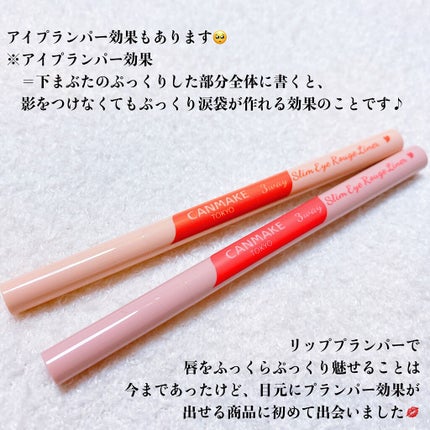 3wayスリムアイルージュライナー/キャンメイク/リキッドアイライナーを使ったクチコミ(6枚目)