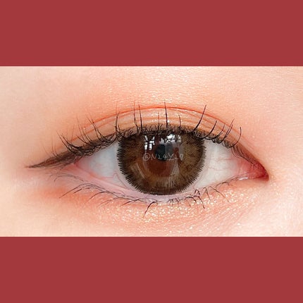 The Bella collection eyeshadow palette/CELEFIT/アイシャドウパレットを使ったクチコミ(1枚目)