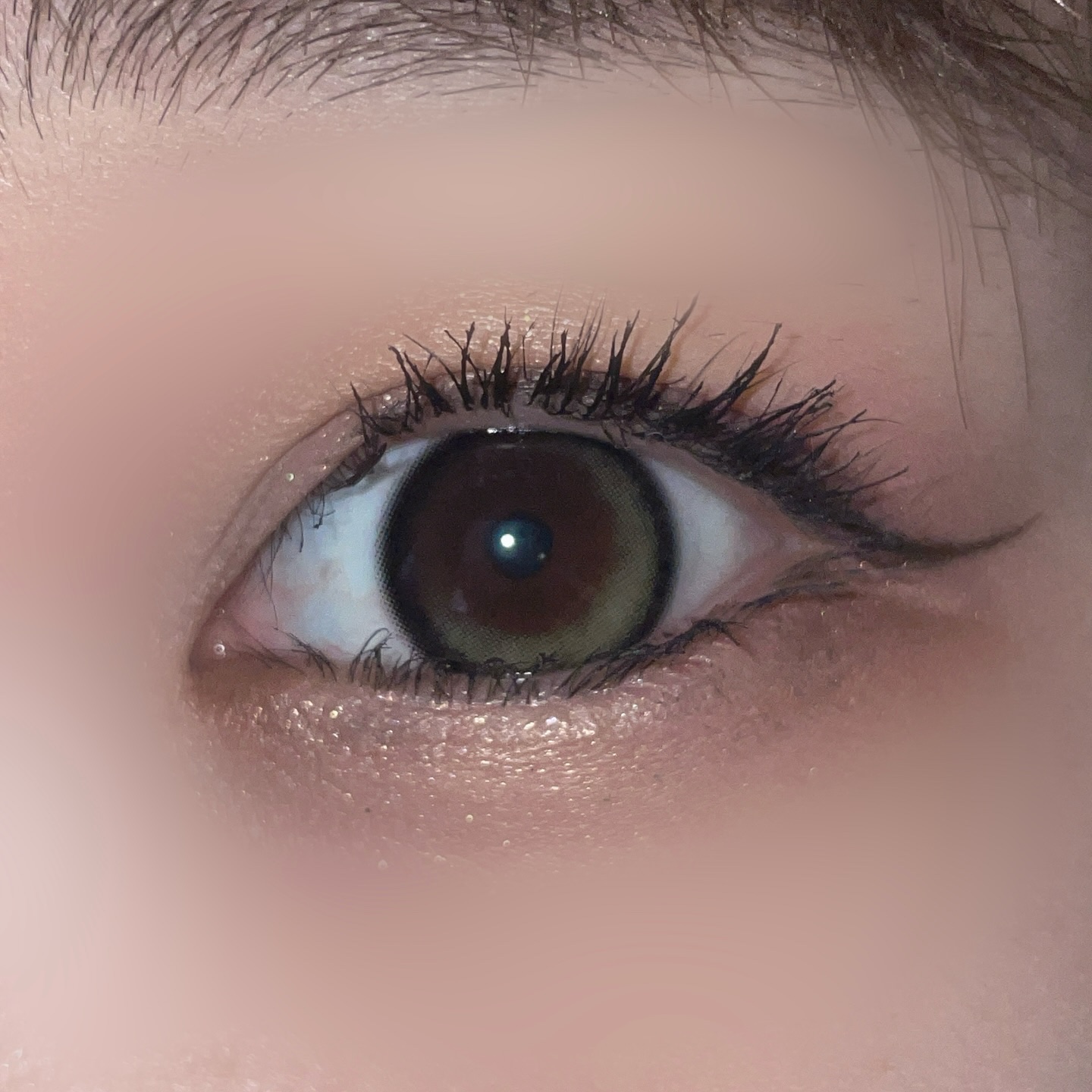 LENSME AKMAシリーズ ワンデー/LENSME/ワンデー（１DAY）カラコンを使ったクチコミ（3枚目）