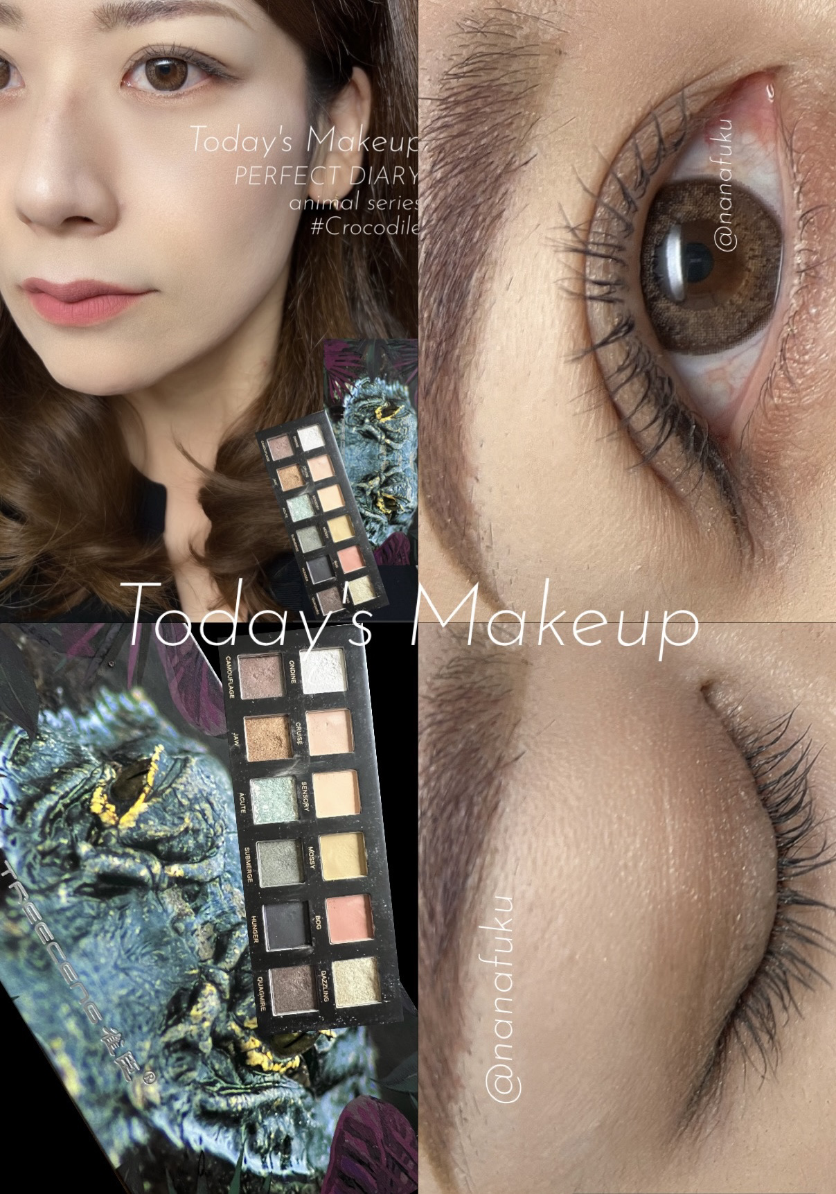 エクスプローラ12色 動物アイシャドウパレット/PERFECT DIARY/アイシャドウパレットを使ったクチコミ（2枚目）