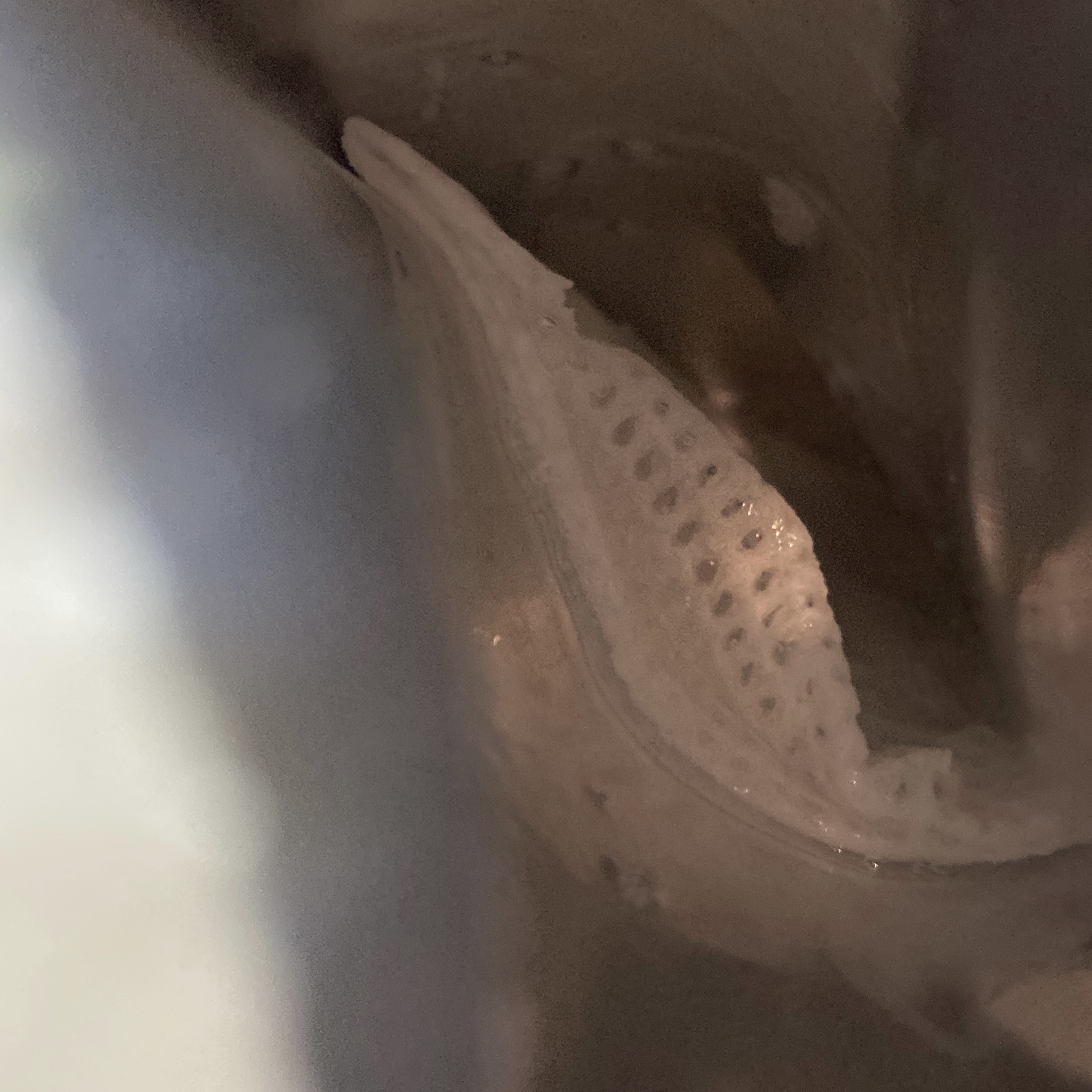 ヘザーカーミングエッセンスパッド/manyo/トナーパッドを使ったクチコミ（2枚目）