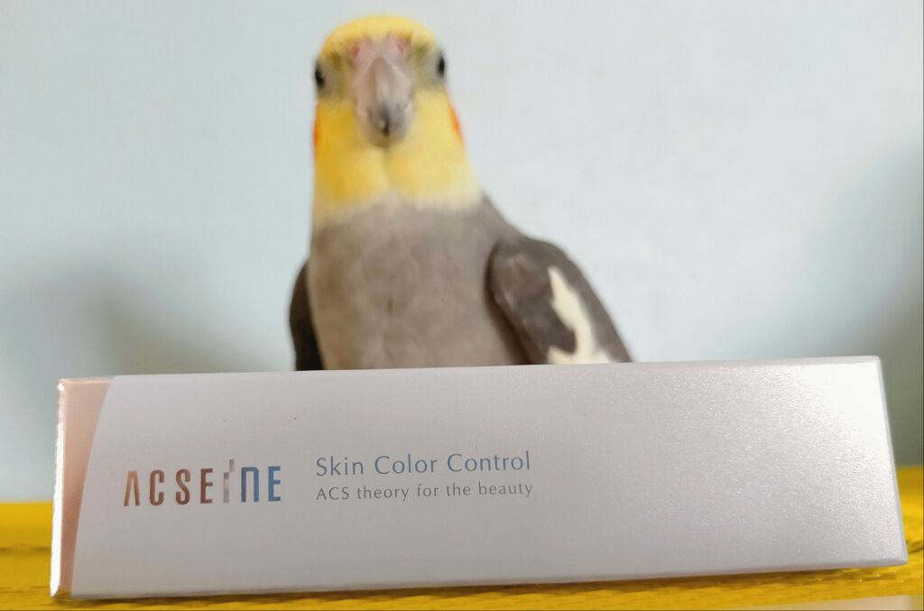 スキンカラーコントロール/ACSEINE/クリームコンシーラーを使ったクチコミ(1枚目)