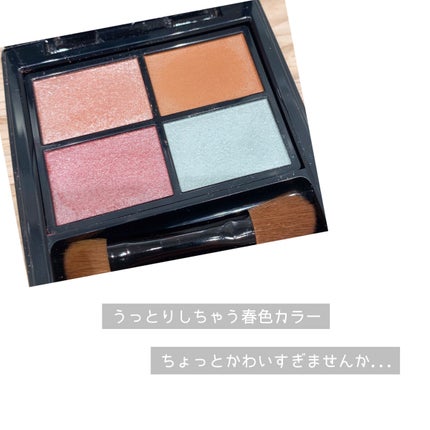 ミネラルクラッシィシャドー/エトヴォス/アイシャドウパレットを使ったクチコミ(2枚目)