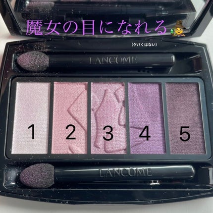 イプノ パレット 06 ルフレ ダメティスト/LANCOME/アイシャドウパレットを使ったクチコミ(1枚目)