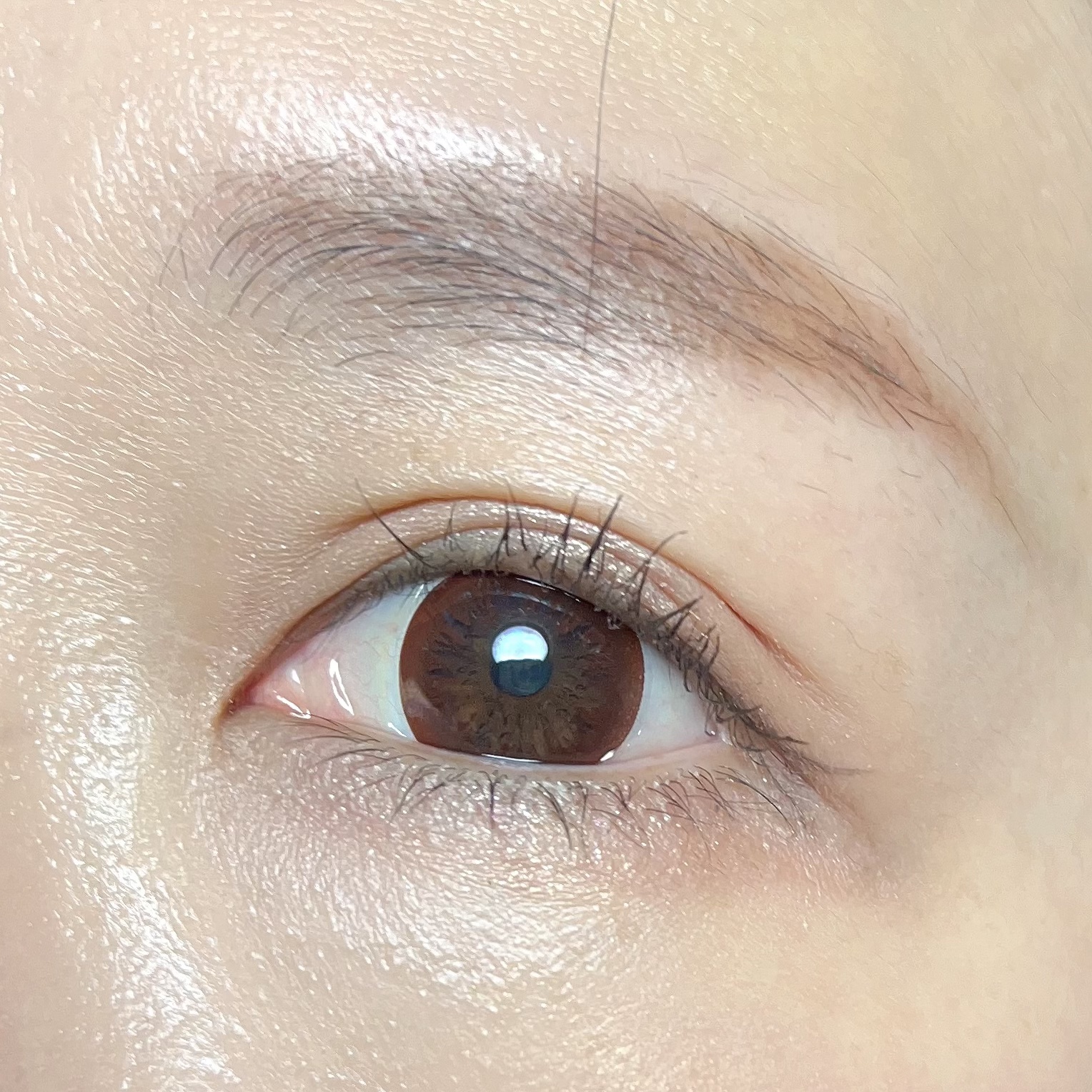 エレクトリックショックアイズ /KATE/アイシャドウパレットを使ったクチコミ（2枚目）