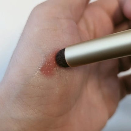 suyu on LIPS 「Ririmew TechnicalLipBrush1,760円..」(4枚目)