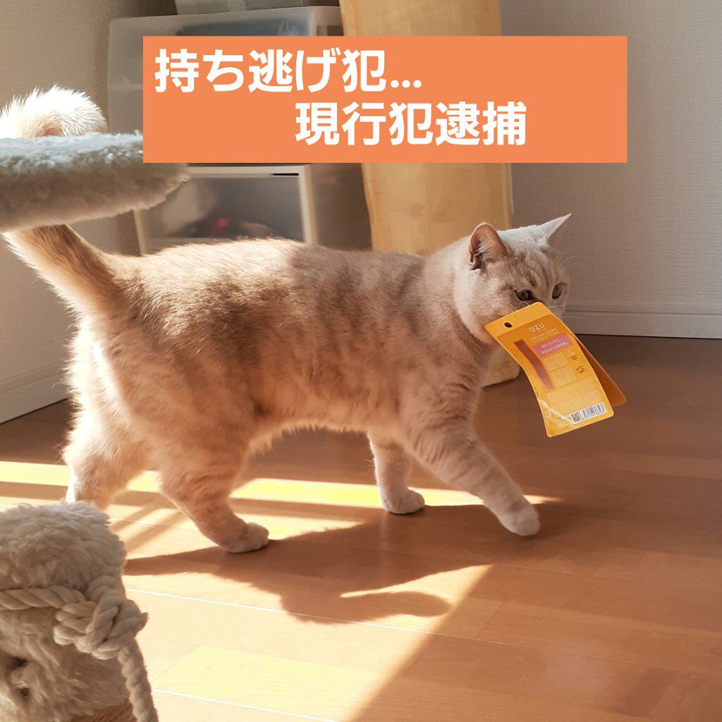 まつげ美容液(まつげ・目もと美容液)/UZU BY FLOWFUSHI/まつげ美容液を使ったクチコミ(6枚目)