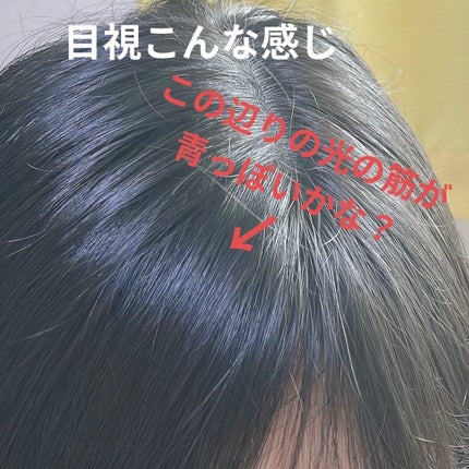 エンシェールズカラーバター/エンシェールズ/ヘアカラーを使ったクチコミ(4枚目)