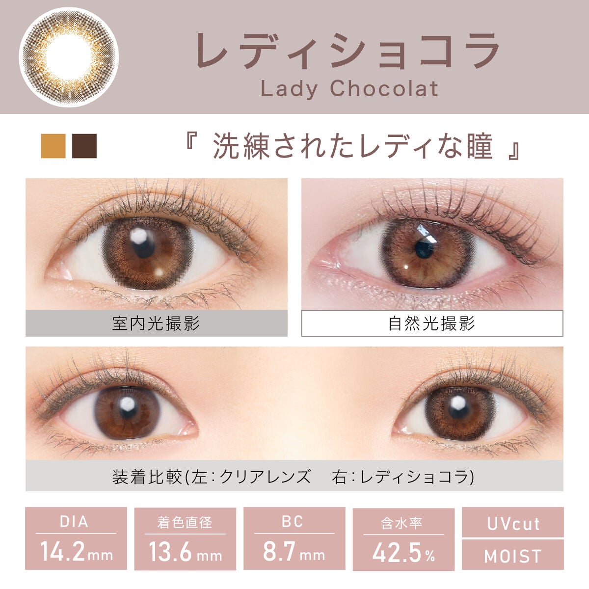ビュームワンデー レディショコラ