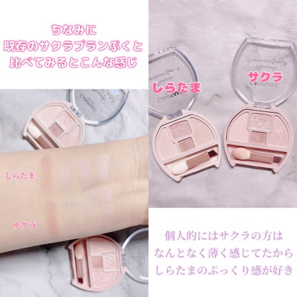 プランぷくコーデアイズNeo/キャンメイク/アイシャドウを使ったクチコミ(4枚目)