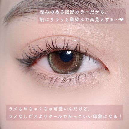 ブラーフィニシュシャドウパレット/Dinto/アイシャドウパレットを使ったクチコミ(3枚目)