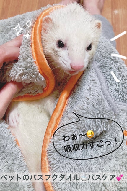 を使ったクチコミ(1枚目)