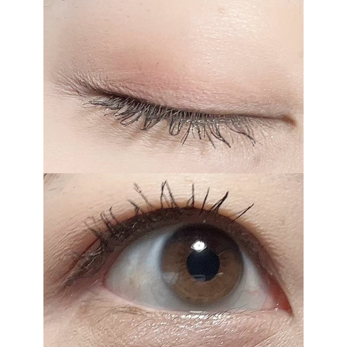 パーフェクトエクステンション マスカラ for カール/D-UP/マスカラを使ったクチコミ(2枚目)