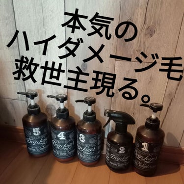 シャンプーExS／トリートメントExS シャンプー 500ml/DeepLayer/シャンプー・コンディショナーを使ったクチコミ（1枚目）