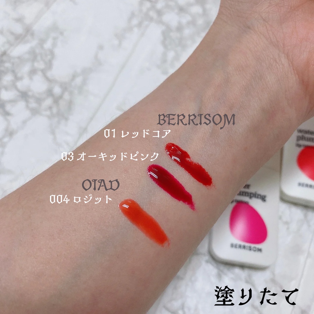 リップティーク 004 ROSITE/oiad/口紅を使ったクチコミ（3枚目）