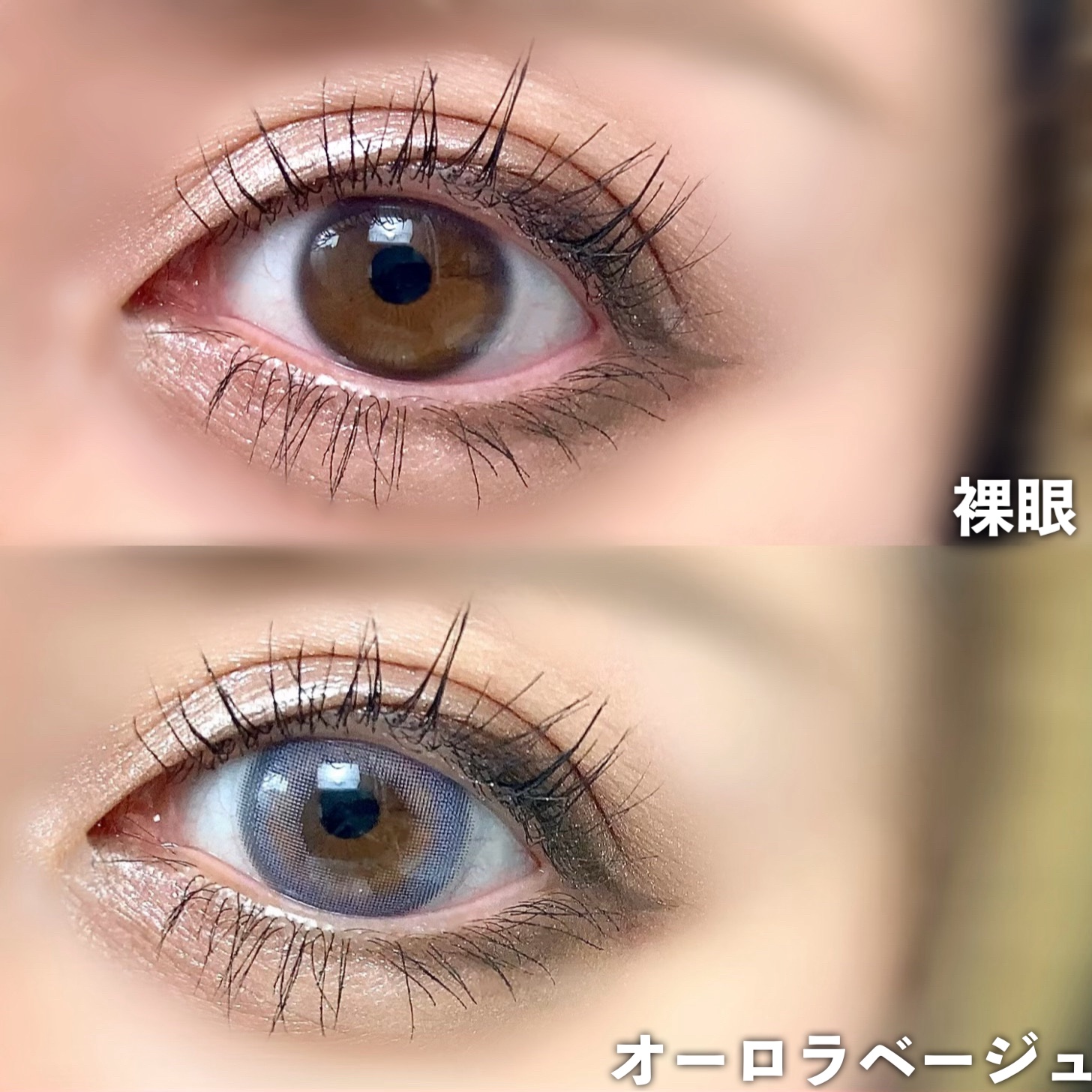 カラーマジョリティー/カラーマジョリティー/カラーコンタクトレンズを使ったクチコミ（3枚目）