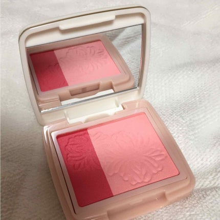 パウダー ブラッシュ/PAUL & JOE BEAUTE/パウダーチークを使ったクチコミ(1枚目)