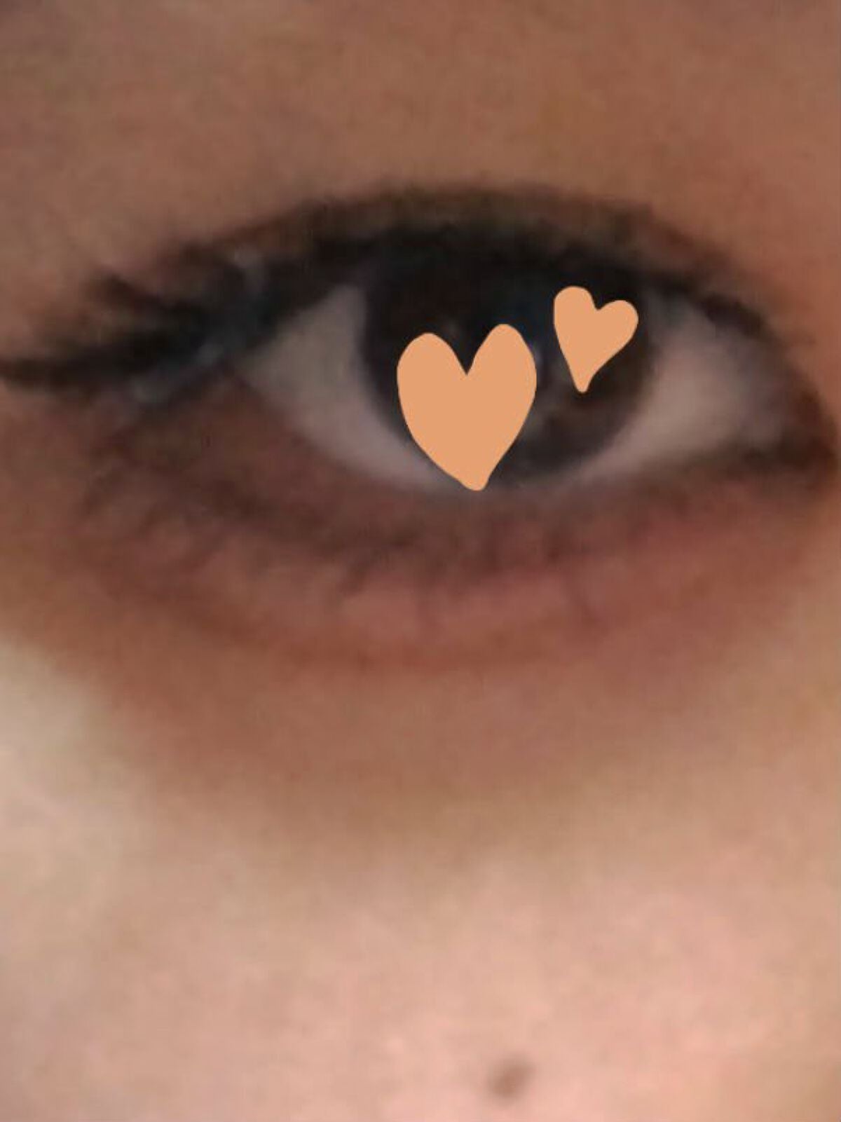 グロウフルールチークス/キャンメイク/パウダーチークを使ったクチコミ(4枚目)