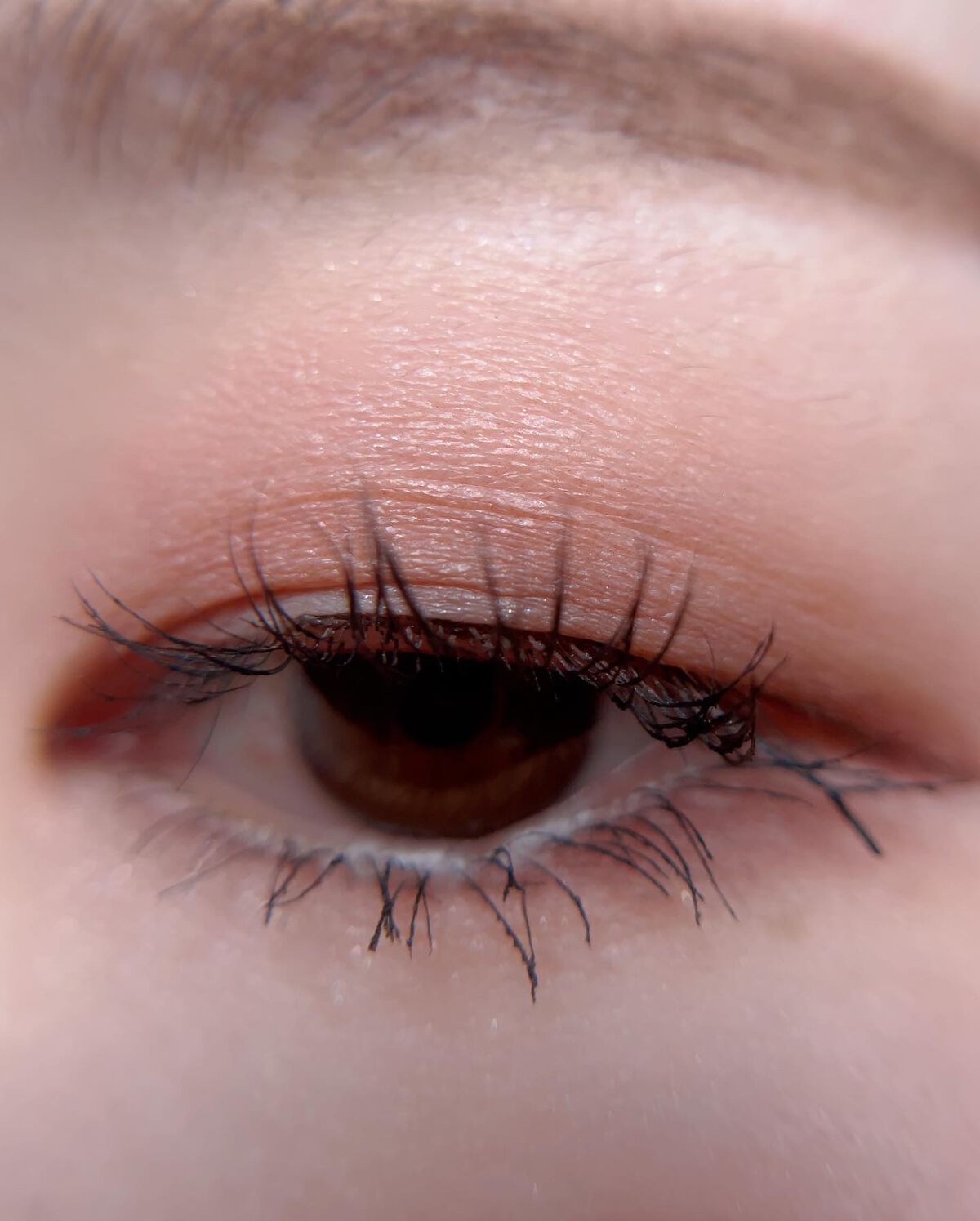 シルキースフレアイズ(マットタイプ)/キャンメイク/アイシャドウパレットを使ったクチコミ(5枚目)