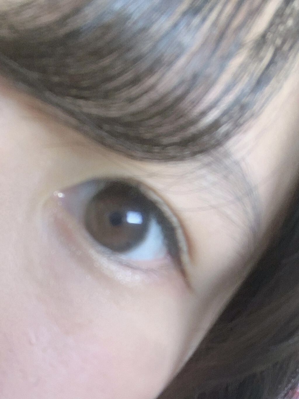 アーティラル ワンデー/ARTIRAL/ワンデー（１DAY）カラコンを使ったクチコミ（2枚目）