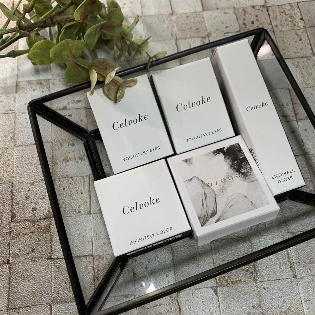 セルヴォーク ヴォランタリー アイズ/Celvoke/単色アイシャドウを使ったクチコミ（1枚目）