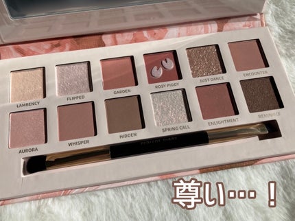 エクスプローラ12色 動物アイシャドウパレット/PERFECT DIARY/アイシャドウパレットを使ったクチコミ(2枚目)