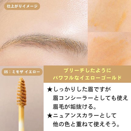 アイブロウ マスカラ/PAUL & JOE BEAUTE/眉マスカラを使ったクチコミ(3枚目)