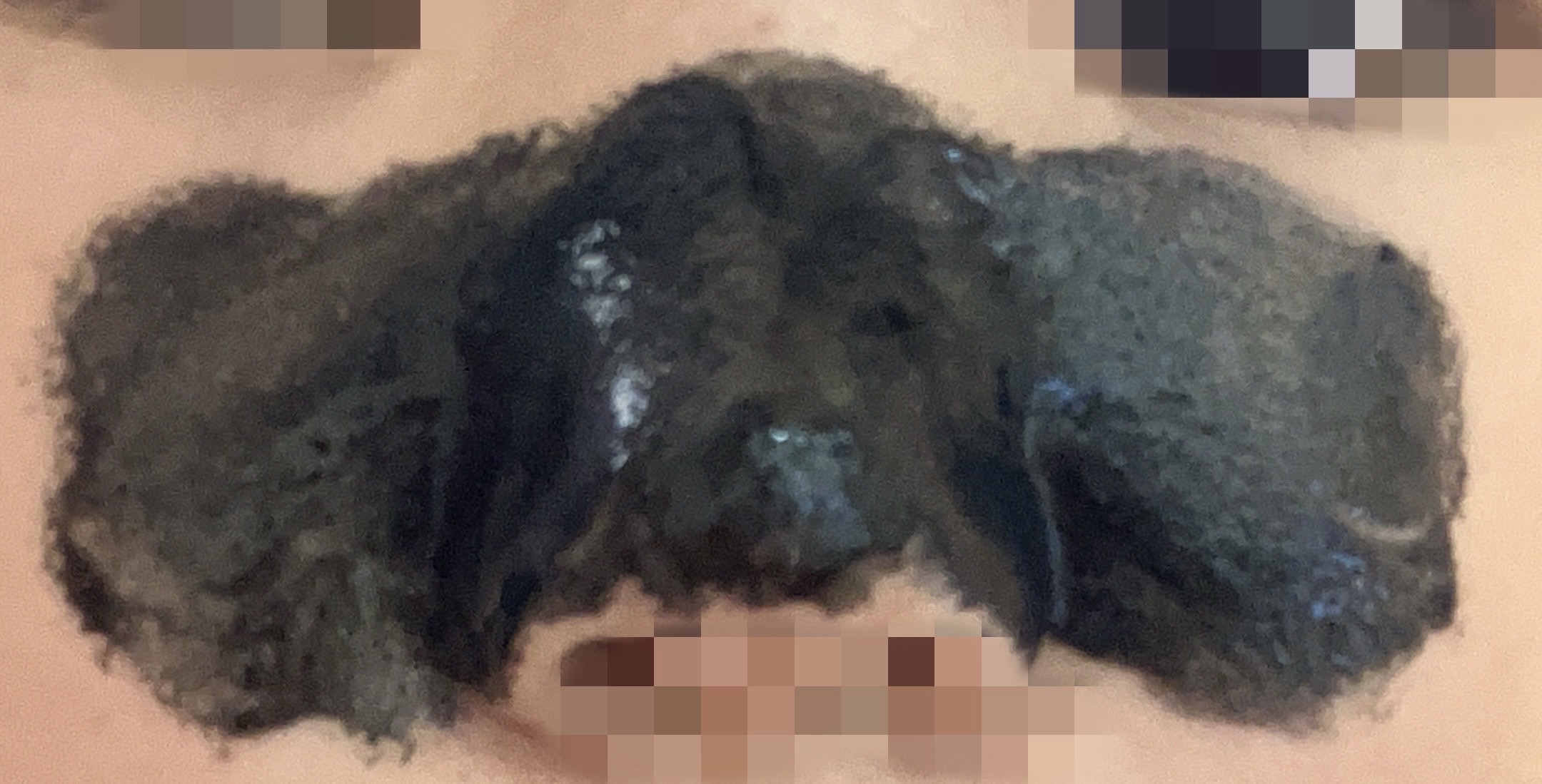 クリアターン 毛穴小町 ブラックピールオフパックのクチコミ「塗って20分くらいしたら乾く！
剥がしても角質は取れなかったかな〜、、
けど産毛？は抜けてた！.....」（3枚目）