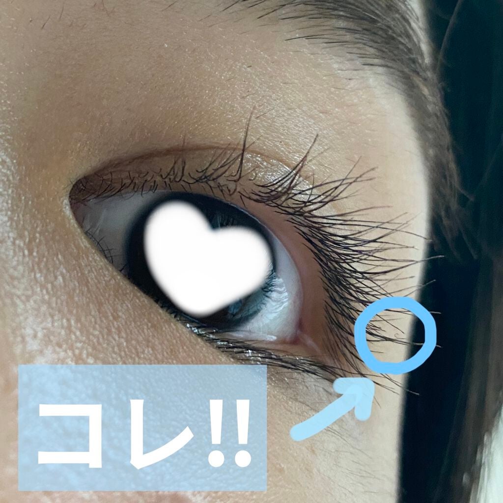 パーマネントカール マスカラ WP(ロング)/FASIO/マスカラを使ったクチコミ(2枚目)