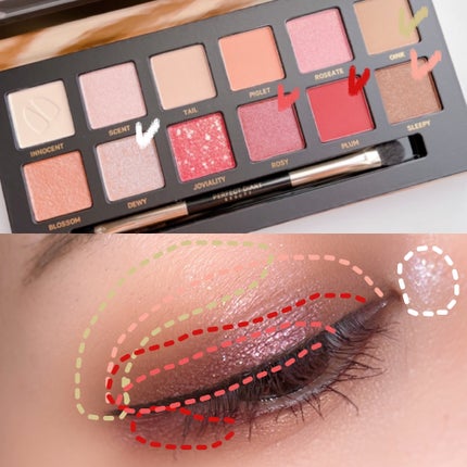 エクスプローラ12色 動物アイシャドウパレット/PERFECT DIARY/アイシャドウパレットを使ったクチコミ(5枚目)