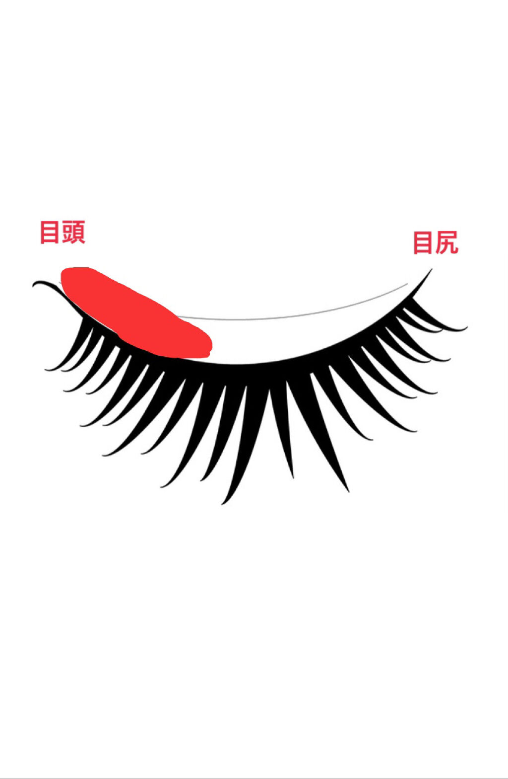 アイビューティー フィクサー WP/アストレア ヴィルゴ/二重まぶた用アイテムを使ったクチコミ（3枚目）