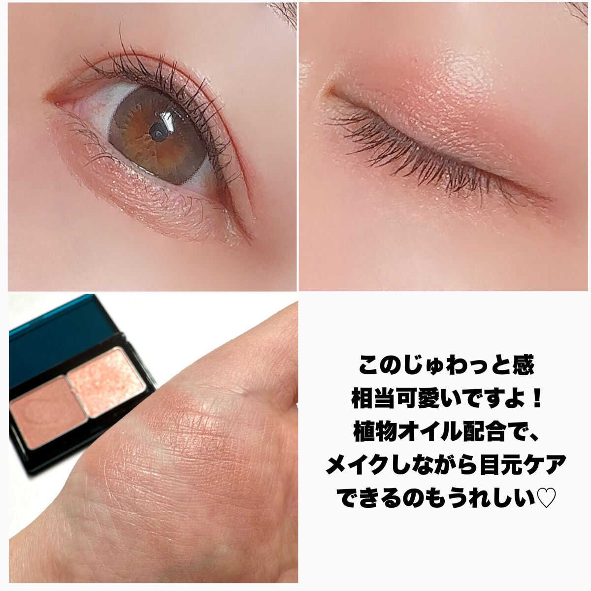 2022年冬新作アイシャドウパレット】フォレスト フィール パウダー