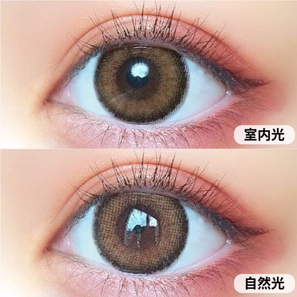 超モテコンウルトラマンスリー ウルトラメガキャット