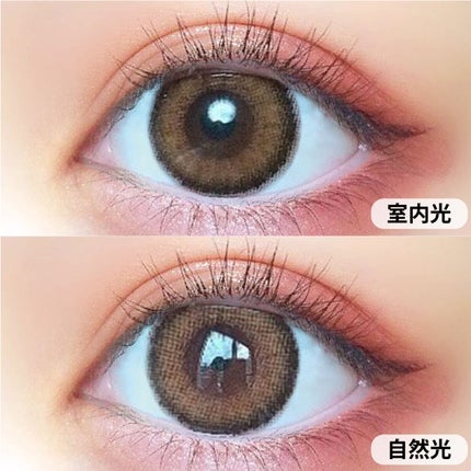 ウルトラメガキャット