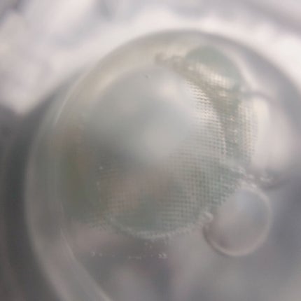 TeAmo 1DAY/TeAmo/ワンデー(1DAY)カラコンを使ったクチコミ(3枚目)