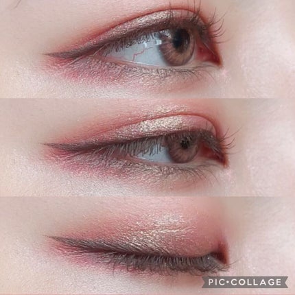 エクスプローラ12色 動物アイシャドウパレット/PERFECT DIARY/アイシャドウパレットを使ったクチコミ(5枚目)