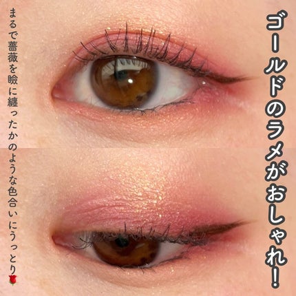 フェイスカラーパレット/チャコット・コスメティクス/アイシャドウパレットを使ったクチコミ(5枚目)