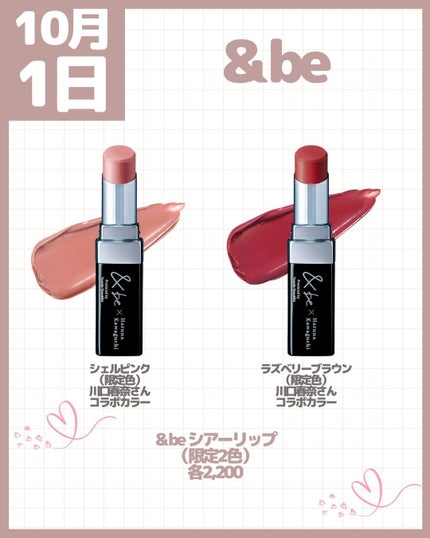 リップスティック ケース CS/PAUL & JOE BEAUTE/その他化粧小物を使ったクチコミ(2枚目)