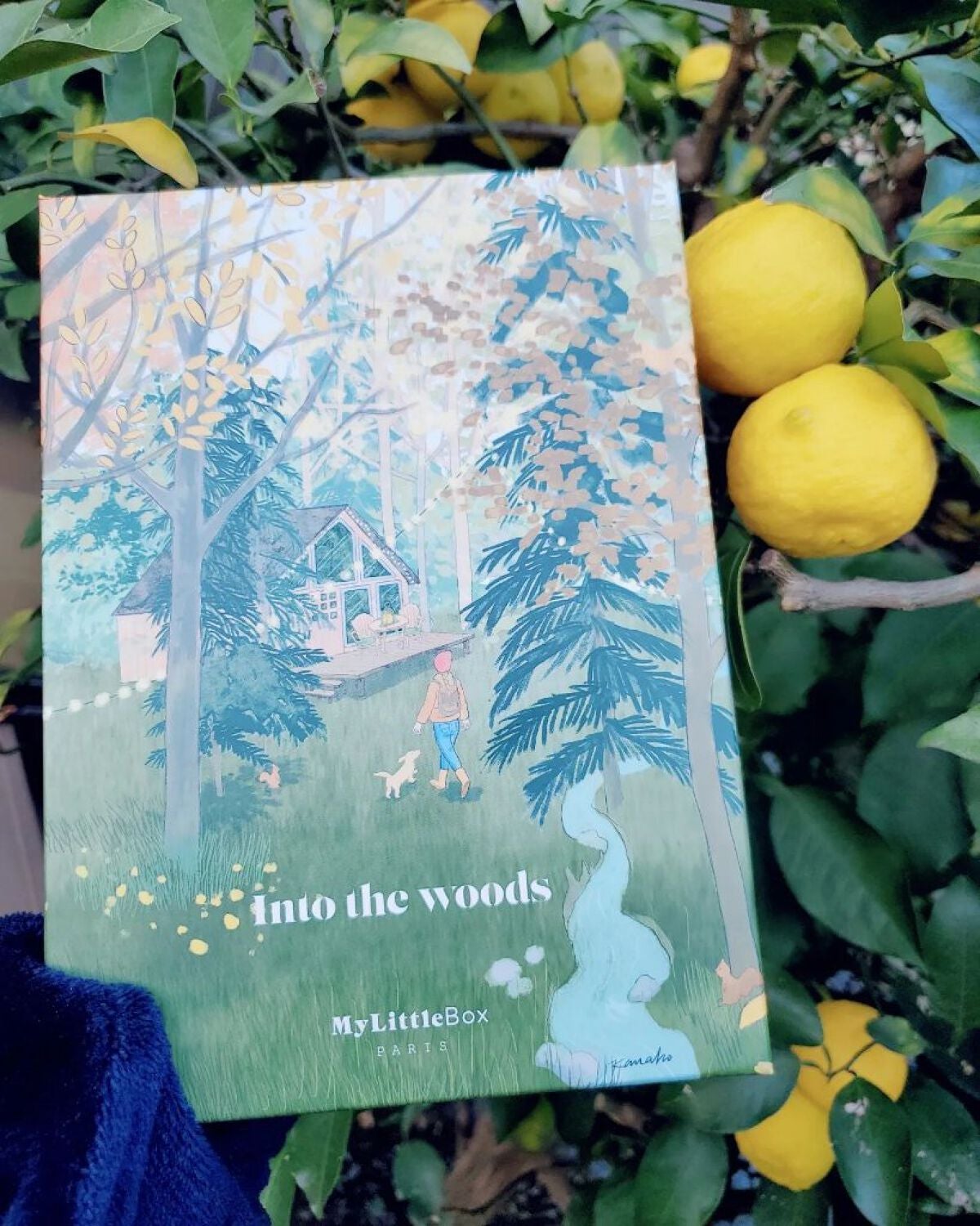 My Little Box/My Little Box/その他キットセットを使ったクチコミ(1枚目)