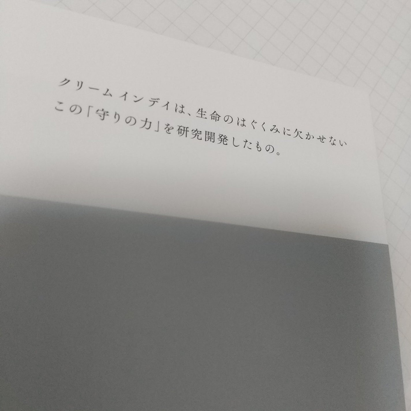 クリーム イン デイ/KANEBO/フェイスクリームを使ったクチコミ(3枚目)