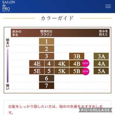 サロン ド プロ 無香料ヘアカラー 早染めクリーム（白髪用）のクチコミ「
サロン ド プロ
無香料ヘアカラー 早染めクリーム
白髪用

4A アッシュブラウン

を使.....」（3枚目）